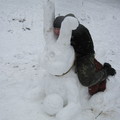 Img_0084