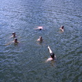 Vzs_ct_132