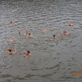 Vzs_po_065