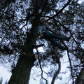 06-img_2032